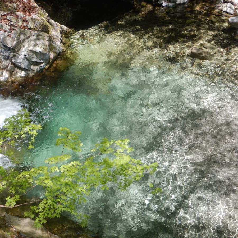 西丹沢　大滝沢