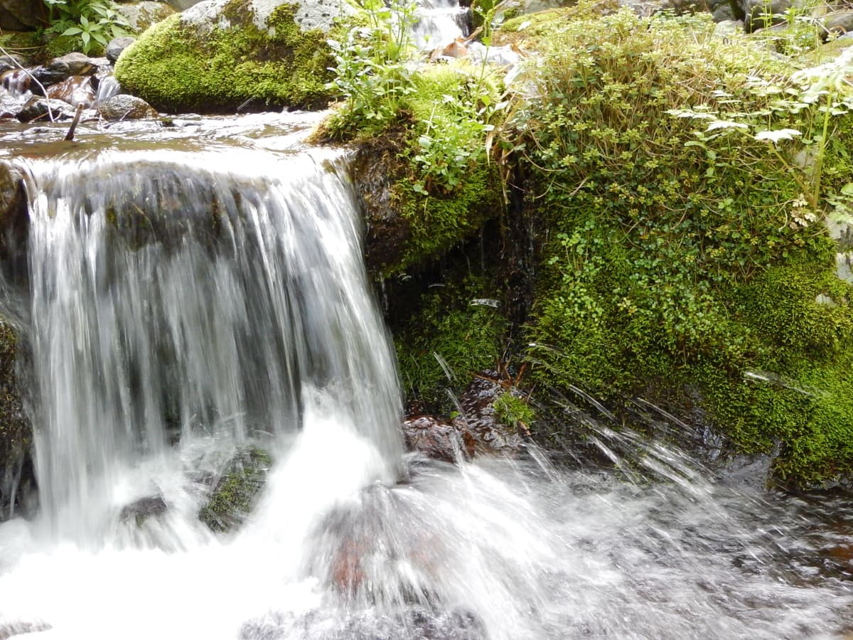 nasu_spring_09.jpg
