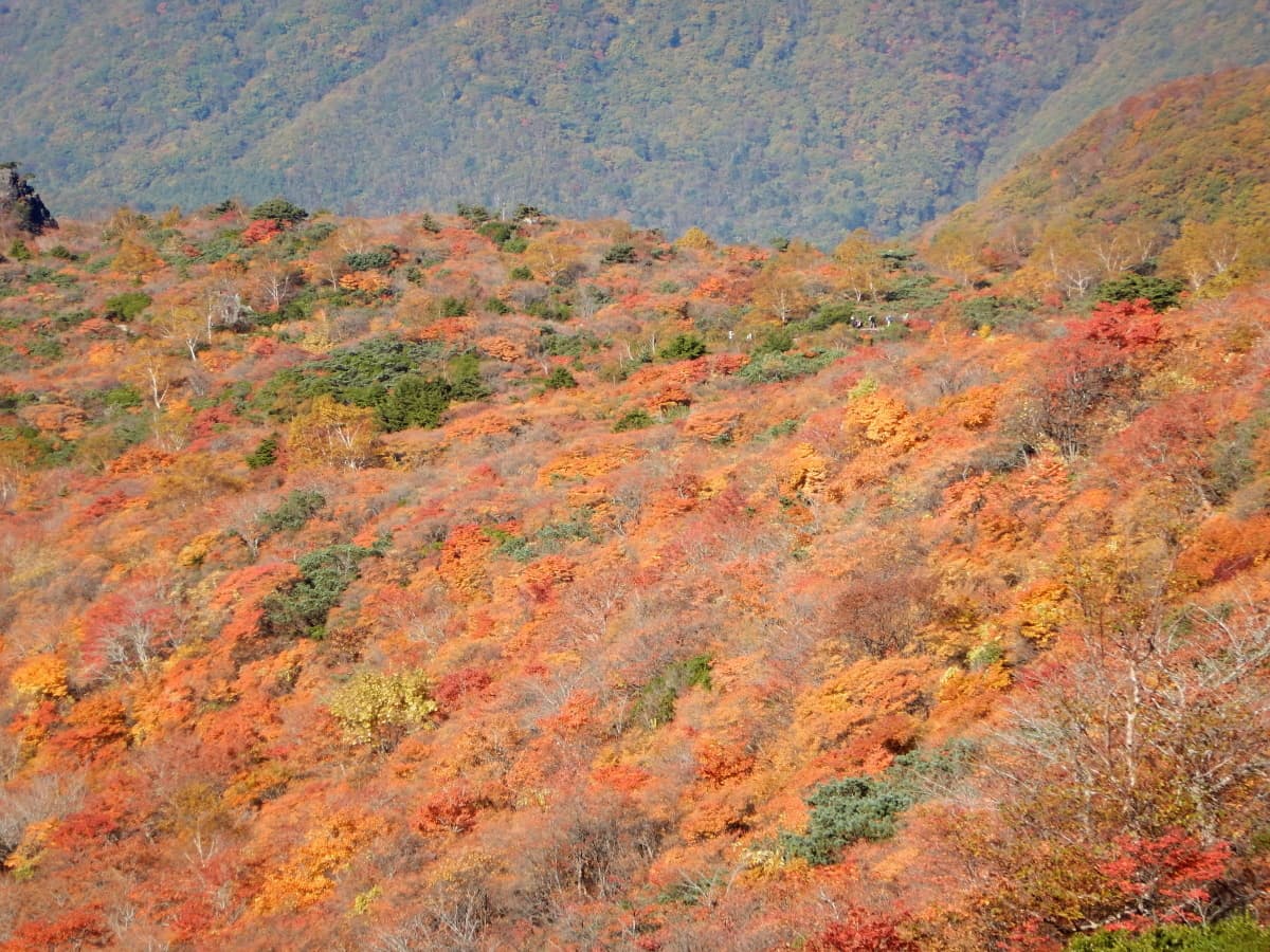 那須　紅葉