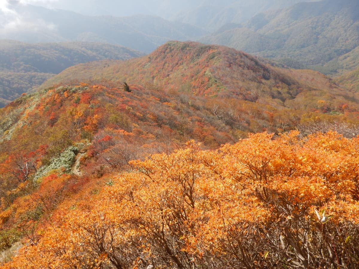隠居倉　紅葉